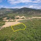  For Sale - (€ 0 / m2), Agricultural 8437 m2 Chrisoupoli 8098072 thumb8