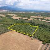  For Sale - (€ 0 / m2), Agricultural 8437 m2 Chrisoupoli 8098072 thumb5