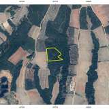  For Sale - (€ 0 / m2), Agricultural 8437 m2 Chrisoupoli 8098072 thumb2