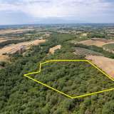  For Sale - (€ 0 / m2), Agricultural 8437 m2 Chrisoupoli 8098072 thumb0
