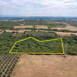  For Sale - (€ 0 / m2), Agricultural 8437 m2 Chrisoupoli 8098072 thumb4