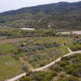  For Sale - (€ 0 / m2), Agricultural 1125 m2 Eleftheres 8098724 thumb9