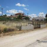  (For Sale) Land Plot || East Attica/Acharnes (Menidi) - 220 Sq.m, 55.000€ Athens 7598726 thumb0