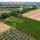  For Sale - (€ 0 / m2), Agricultural 6130 m2 Chrisoupoli 8098074 thumb7