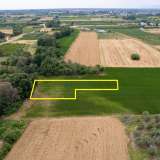  For Sale - (€ 0 / m2), Agricultural 6130 m2 Chrisoupoli 8098074 thumb8