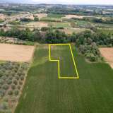  For Sale - (€ 0 / m2), Agricultural 6130 m2 Chrisoupoli 8098074 thumb6
