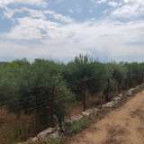  For Sale - (€ 0 / m2), Agricultural 1900 m2 Eleftheres 8098747 thumb8