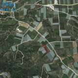  For Sale - (€ 0 / m2), Agricultural 1900 m2 Eleftheres 8098747 thumb2