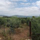  For Sale - (€ 0 / m2), Agricultural 1900 m2 Eleftheres 8098747 thumb6