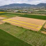  For Sale - (€ 0 / m2), Agricultural 7746 m2 Chrisoupoli 8098075 thumb7