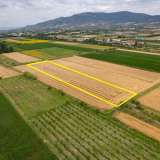  For Sale - (€ 0 / m2), Agricultural 7746 m2 Chrisoupoli 8098075 thumb6