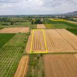  For Sale - (€ 0 / m2), Agricultural 7746 m2 Chrisoupoli 8098075 thumb5