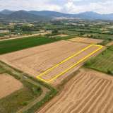  For Sale - (€ 0 / m2), Agricultural 7746 m2 Chrisoupoli 8098075 thumb9
