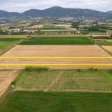  For Sale - (€ 0 / m2), Agricultural 7746 m2 Chrisoupoli 8098075 thumb8