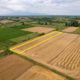  For Sale - (€ 0 / m2), Agricultural 7746 m2 Chrisoupoli 8098075 thumb3