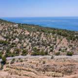  For Sale - (€ 0 / m2), Agricultural 4080 m2 Thasos 8098757 thumb0