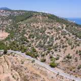  For Sale - (€ 0 / m2), Agricultural 4080 m2 Thasos 8098757 thumb6