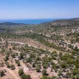  For Sale - (€ 0 / m2), Agricultural 4080 m2 Thasos 8098757 thumb4
