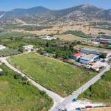  For Sale - (€ 0 / m2), Agricultural 4440 m2 Kavala 8098076 thumb0