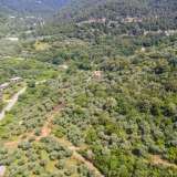  For Sale - (€ 0 / m2), Agricultural 10889.86 m2 Thasos 8098761 thumb8