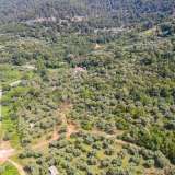  For Sale - (€ 0 / m2), Agricultural 10889.86 m2 Thasos 8098761 thumb7