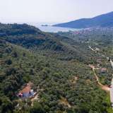  For Sale - (€ 0 / m2), Agricultural 10889.86 m2 Thasos 8098761 thumb2