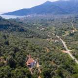  For Sale - (€ 0 / m2), Agricultural 10889.86 m2 Thasos 8098761 thumb4
