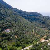  For Sale - (€ 0 / m2), Agricultural 10889.86 m2 Thasos 8098761 thumb3
