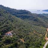  For Sale - (€ 0 / m2), Agricultural 10889.86 m2 Thasos 8098761 thumb0