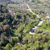  For Sale - (€ 0 / m2), Agricultural 4493.37 m2 Thasos 8098764 thumb4