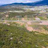  For Sale - (€ 0 / m2), Agricultural 4310 m2 Eleftheres 8098777 thumb5