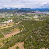  For Sale - (€ 0 / m2), Agricultural 4310 m2 Eleftheres 8098777 thumb4