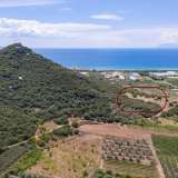  For Sale - (€ 0 / m2), Agricultural 4310 m2 Eleftheres 8098777 thumb8