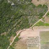  For Sale - (€ 0 / m2), Agricultural 4310 m2 Eleftheres 8098777 thumb0