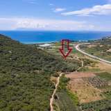  For Sale - (€ 0 / m2), Agricultural 4310 m2 Eleftheres 8098777 thumb7