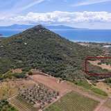  For Sale - (€ 0 / m2), Agricultural 4310 m2 Eleftheres 8098777 thumb9
