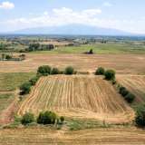 For Sale - (€ 0 / m2), Agricultural 8090 m2 Drama 8098079 thumb4