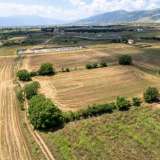  For Sale - (€ 0 / m2), Agricultural 8090 m2 Drama 8098079 thumb2