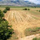  For Sale - (€ 0 / m2), Agricultural 8090 m2 Drama 8098079 thumb7