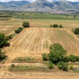  For Sale - (€ 0 / m2), Agricultural 8090 m2 Drama 8098079 thumb1