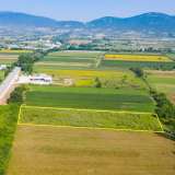  For Sale - (€ 0 / m2), Agricultural 4969 m2 Chrisoupoli 8098791 thumb7
