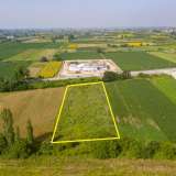  For Sale - (€ 0 / m2), Agricultural 4969 m2 Chrisoupoli 8098791 thumb0