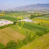  For Sale - (€ 0 / m2), Agricultural 4969 m2 Chrisoupoli 8098791 thumb8