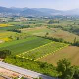  For Sale - (€ 0 / m2), Agricultural 4969 m2 Chrisoupoli 8098791 thumb6