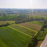  For Sale - (€ 0 / m2), Agricultural 4969 m2 Chrisoupoli 8098791 thumb4