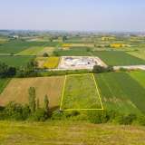  For Sale - (€ 0 / m2), Agricultural 4969 m2 Chrisoupoli 8098791 thumb9