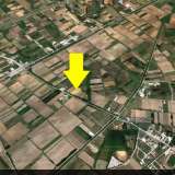  For Sale - (€ 0 / m2), Agricultural 4969 m2 Chrisoupoli 8098791 thumb1
