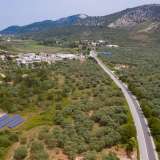  For Sale - (€ 0 / m2), Agricultural 2970 m2 Thasos 8098794 thumb7