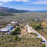  For Sale - (€ 0 / m2), Agricultural 7081 m2 Thasos 8098802 thumb7