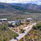  For Sale - (€ 0 / m2), Agricultural 7081 m2 Thasos 8098802 thumb8